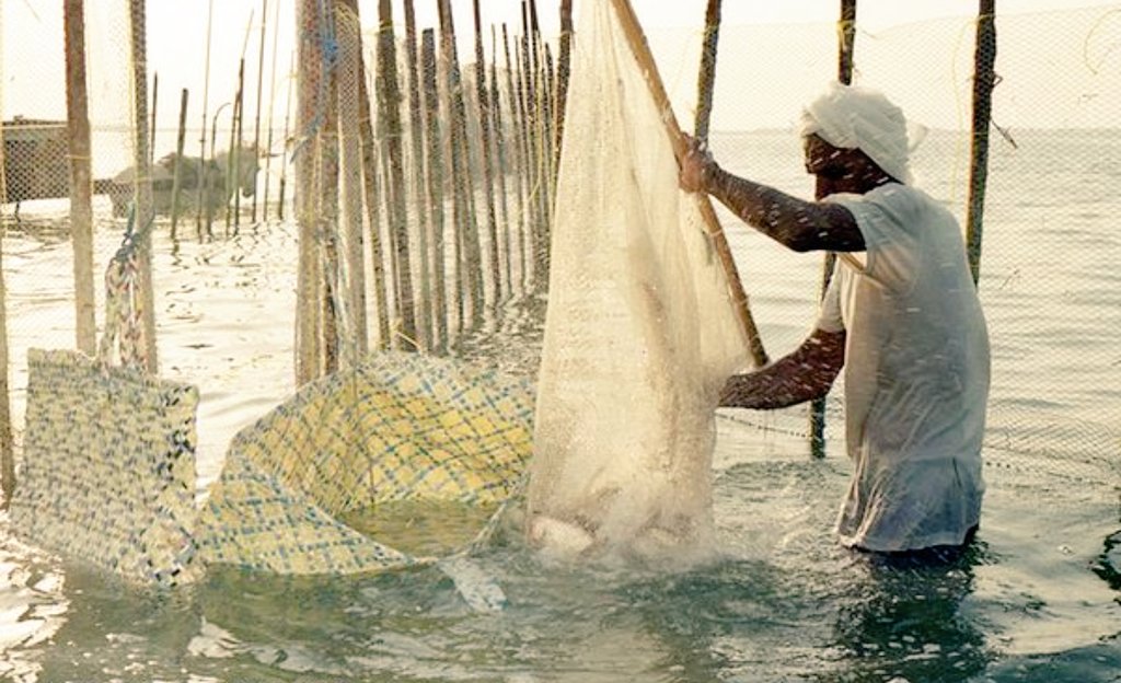 الصيد البحري في دبي مستقبل مجهول وتراث آيل للزوال