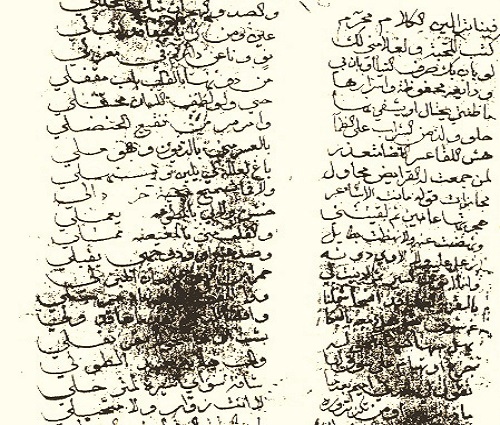 لامية «أبوحمزة» شاعر القرن الثامن الهجري نص شاهد على مآثر أمير المدينة