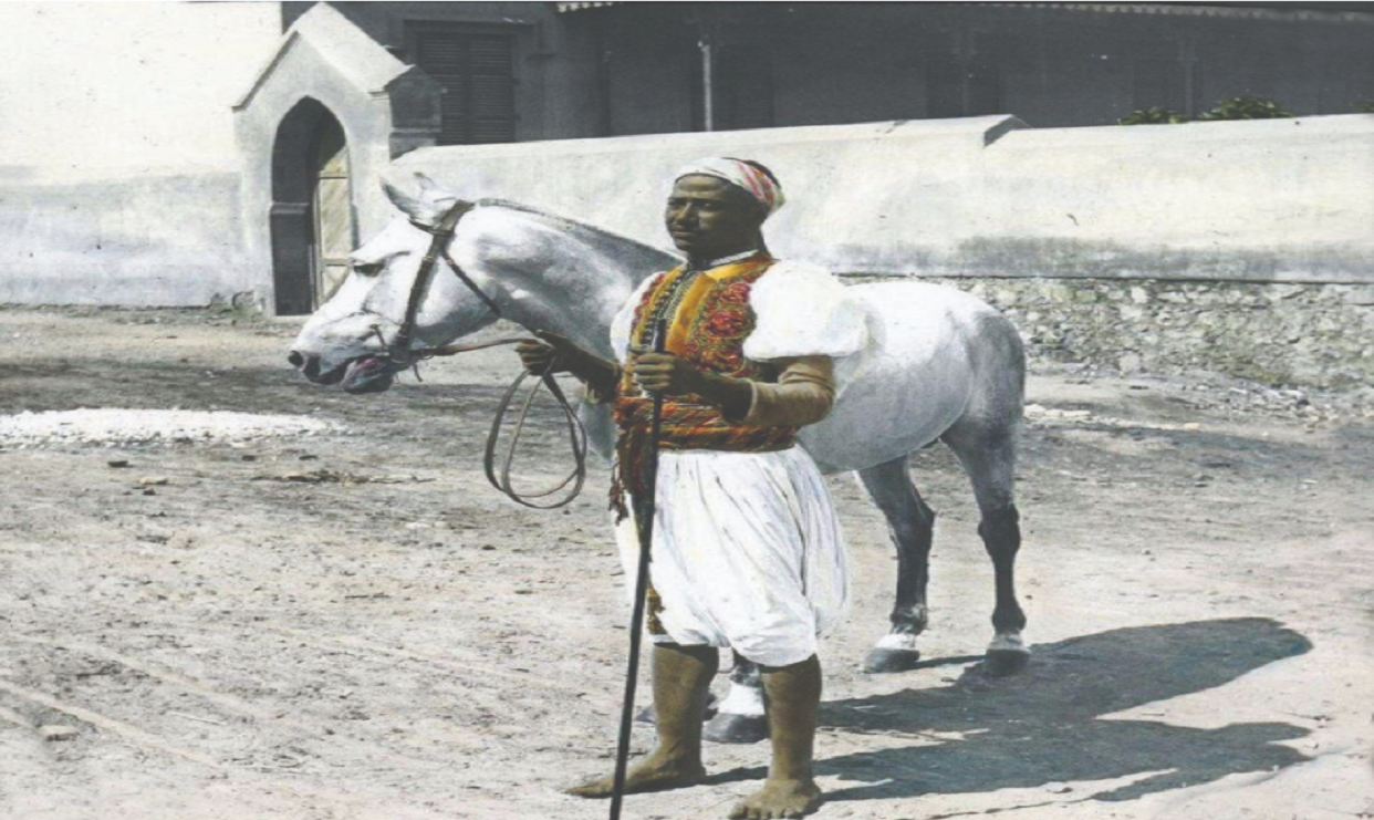 أماكن وتواريخ في رحلة الخيل العربي إلى أوروبا وأمريكا
