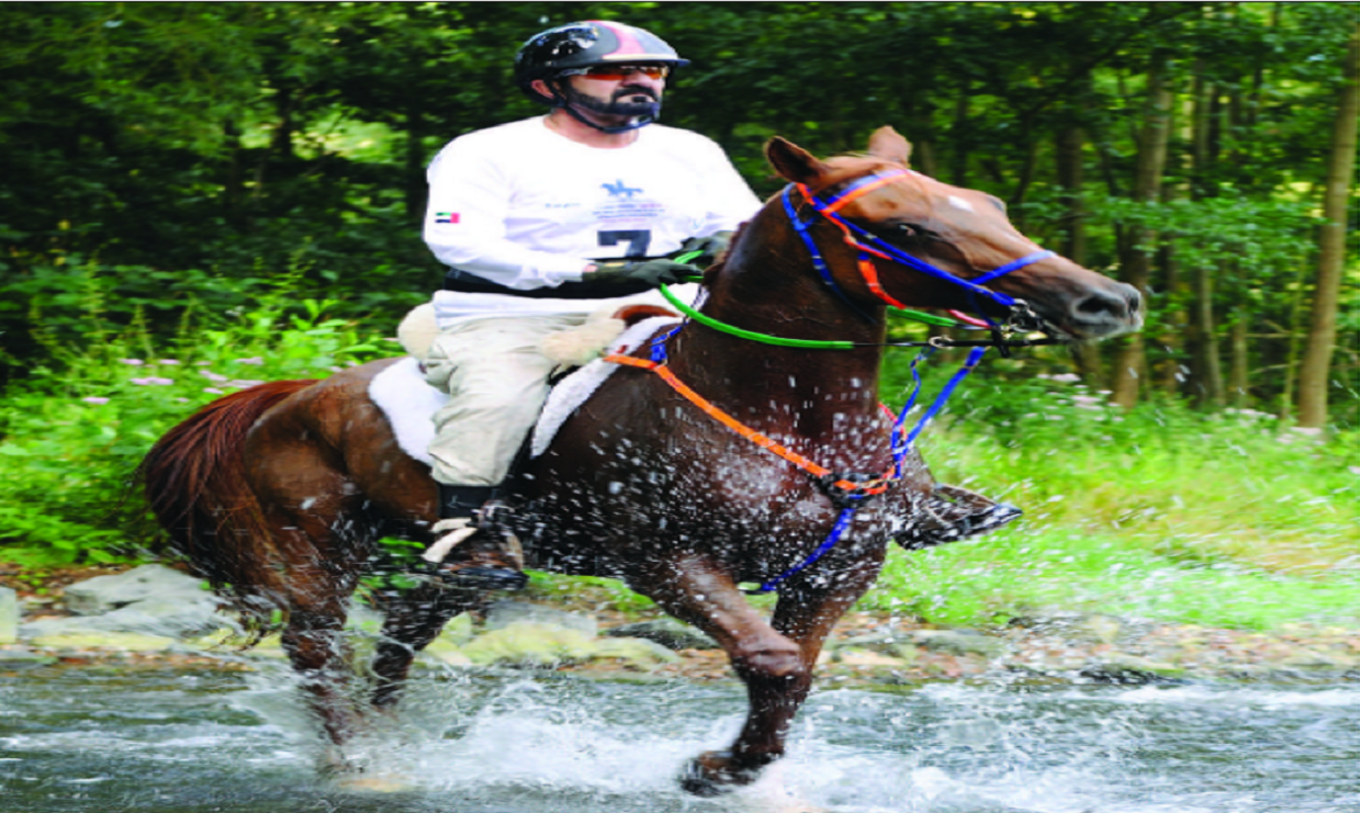 قصائدي في حب الخيل