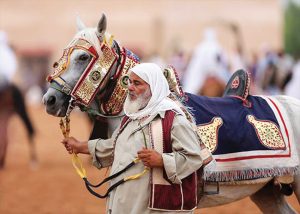 من المناسبات التراثية التي تشارك فيها الخيول