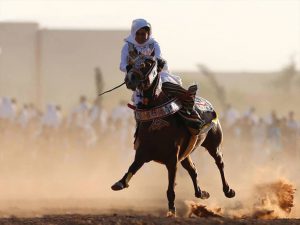 جواد مطواع لفارسه وفيٌّ له