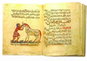 صفحتان من مختصر كتاب البيطرة