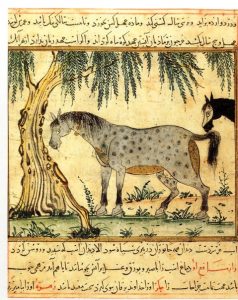 جزء من مخطوط منافع الحيوان