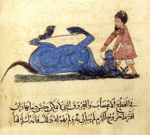 صورة تعليمية من مختصر كتاب البيطرة