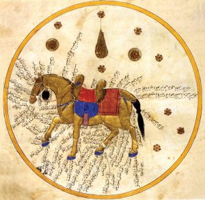 صورة جواد مع توضيحات من كتاب الزردقة