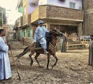 من رقصات الخيل المصرية التقليدية في المناسبات