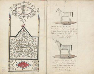 جزء من مخطوط يظهر فيه وصف الخيل العربي الأصيل