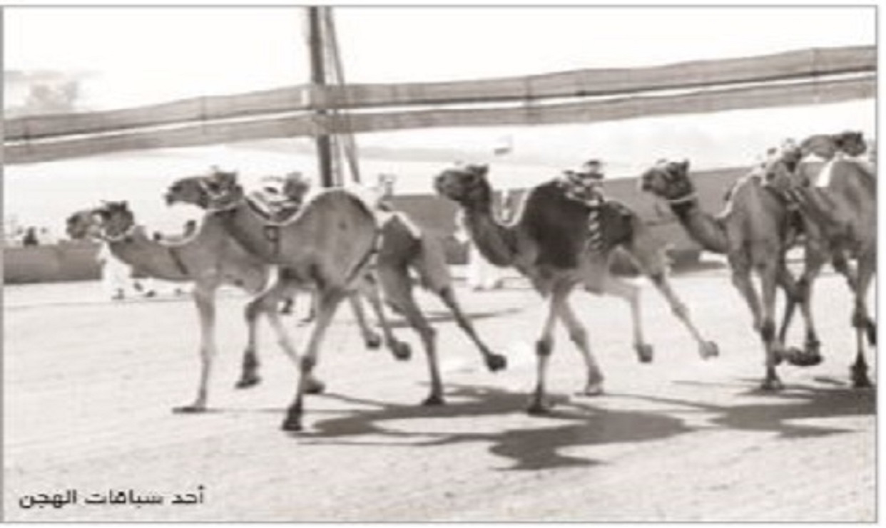 سين جيم مدارات ونقوش العدد  (2)