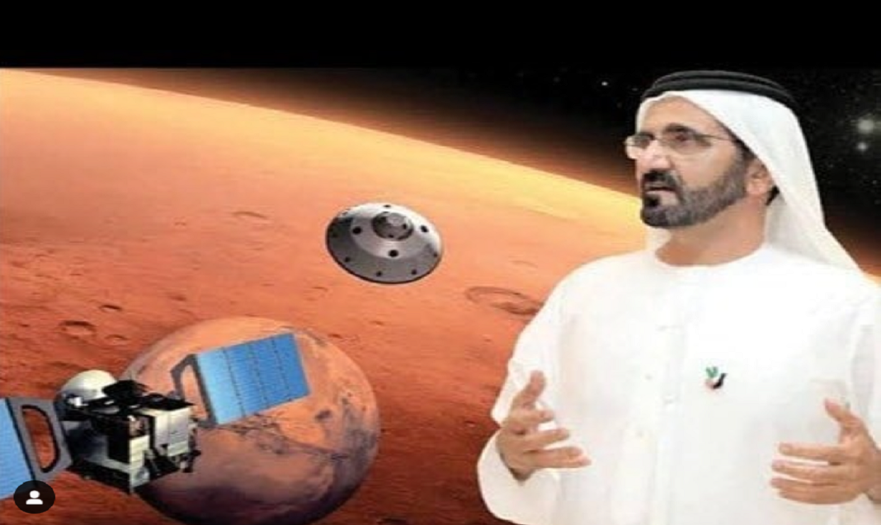 باني دُبَيّ