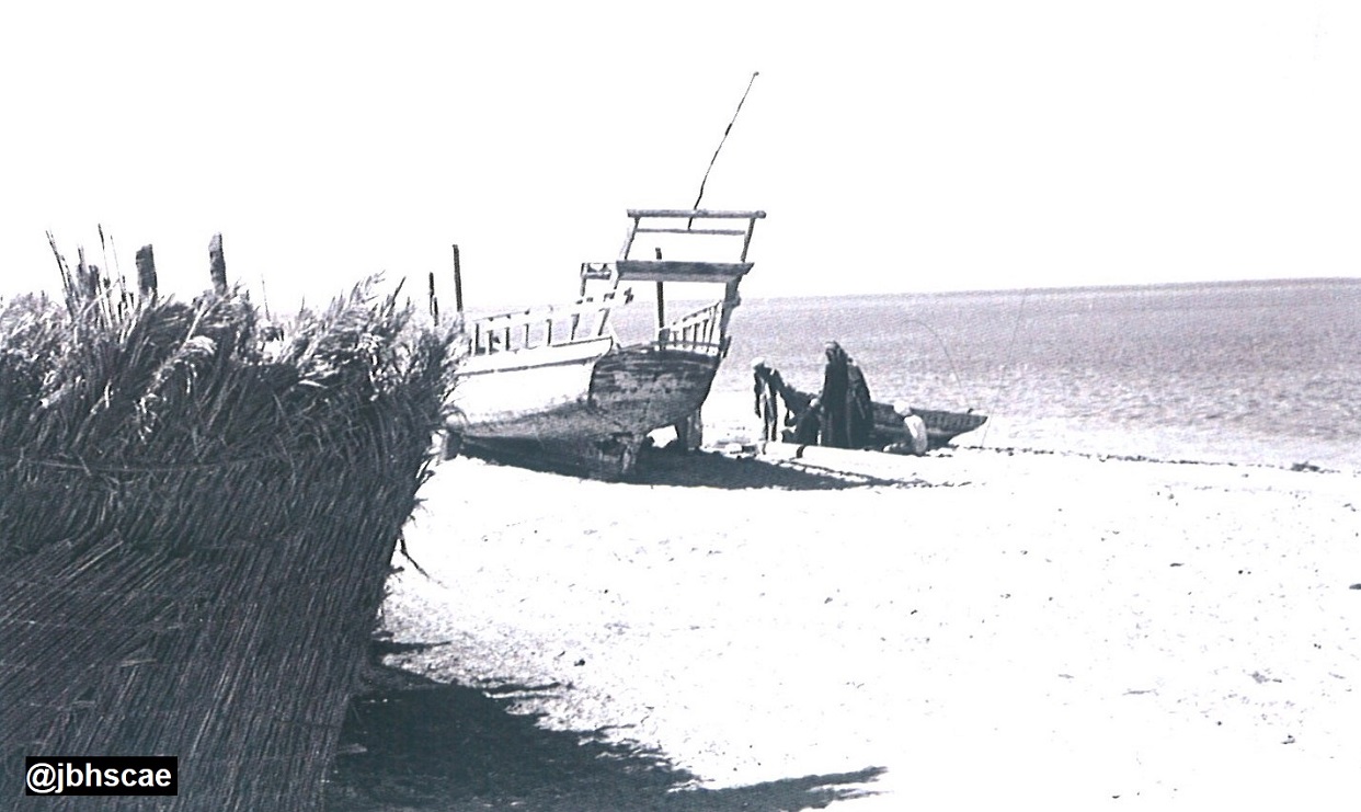 شاطئ جزيرة أبوظبي 1955م
