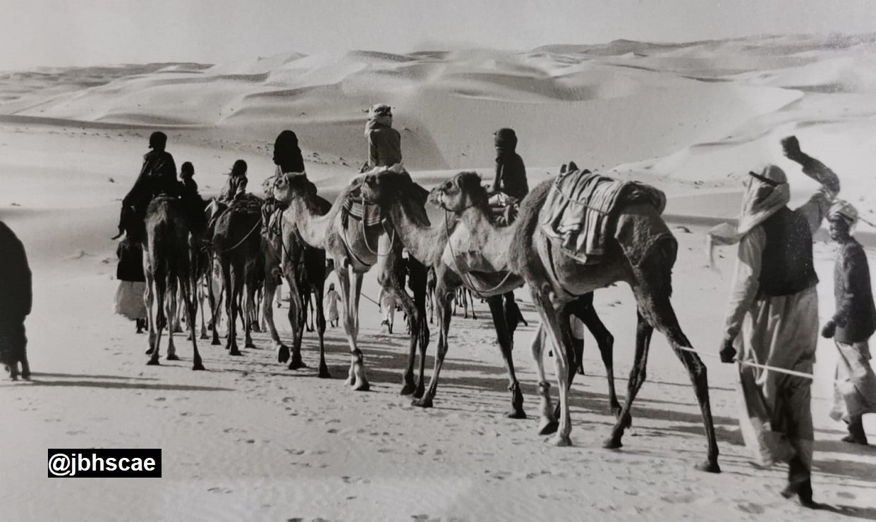 قافلة تشق طريقها في ليوا مارس 1962