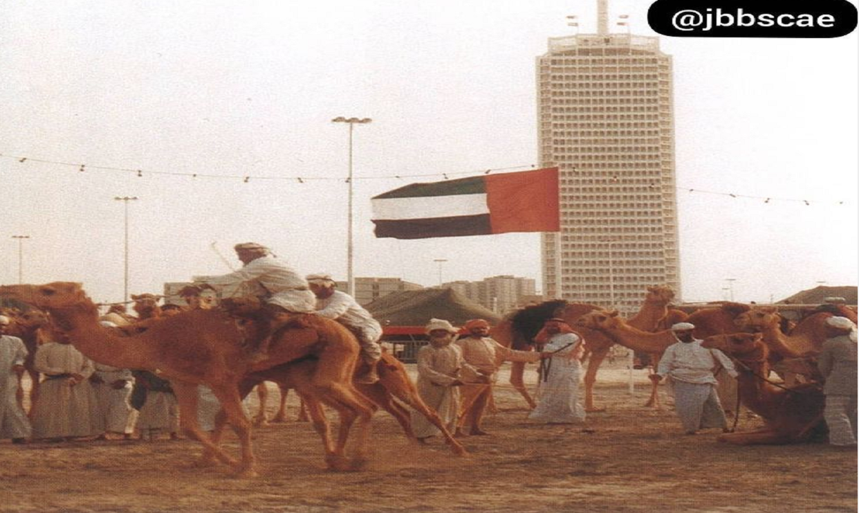 سباقات الهجن سنة 1984م