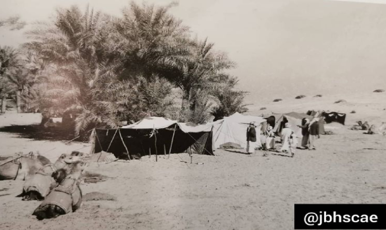 مدينة ليوا ابوظبي عام 1962م